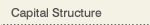 Capital Structure