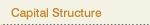 Capital Structure