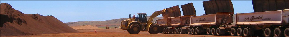 Robust Resources Limited &ndash; About Us : Corporate Sustainability