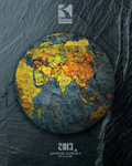 2013 Annual Report
